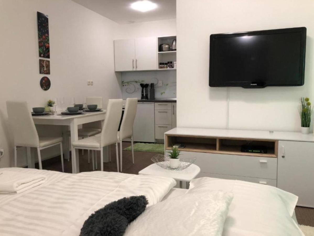 Апартаменты Modern Center Studio Under The Castle - Free Parking Любляна Экстерьер фото